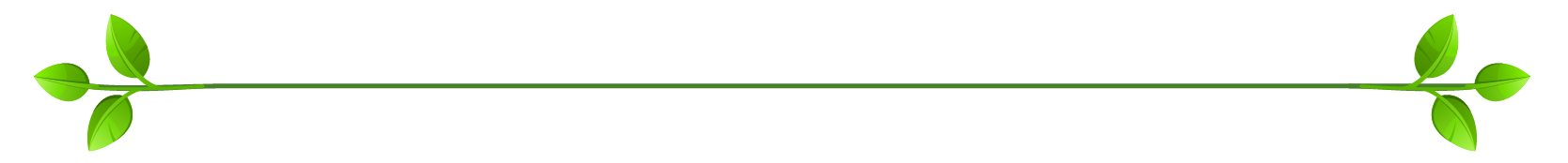 divider